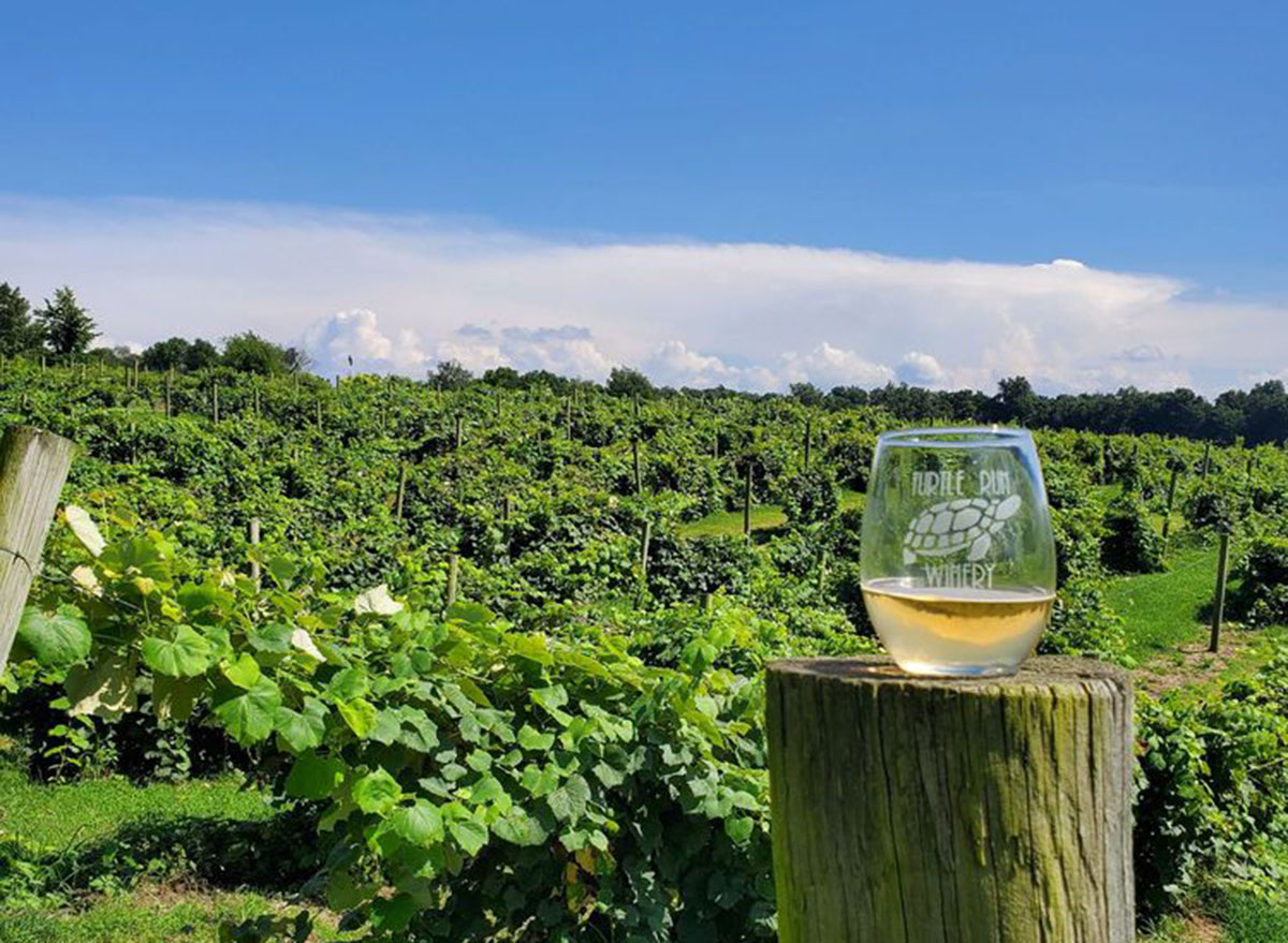 The Best Winery in Every State Eat This Not That