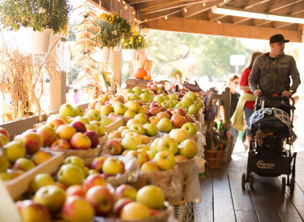 fifer orchard delaware