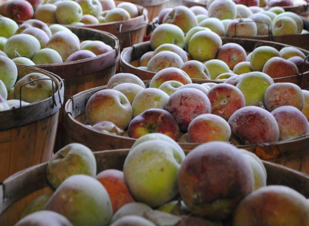 wheelers orchard tennessee