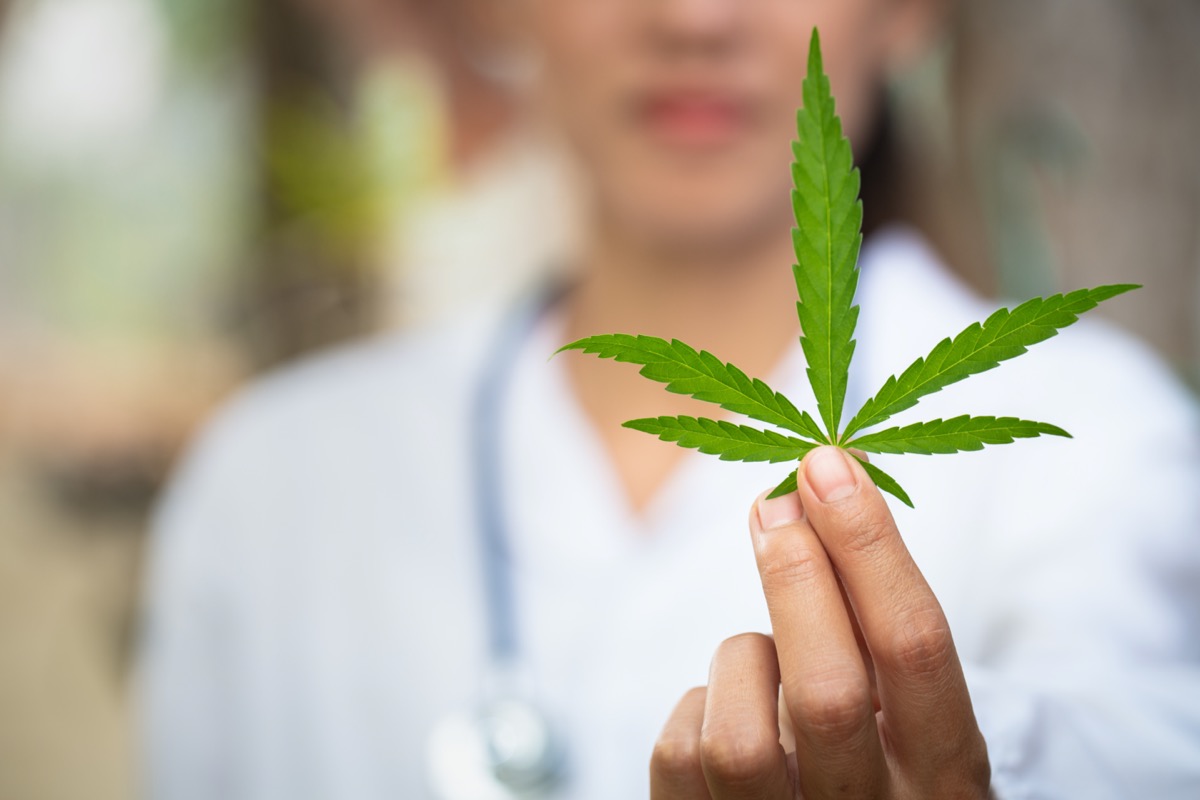 Doctor medical marijuana