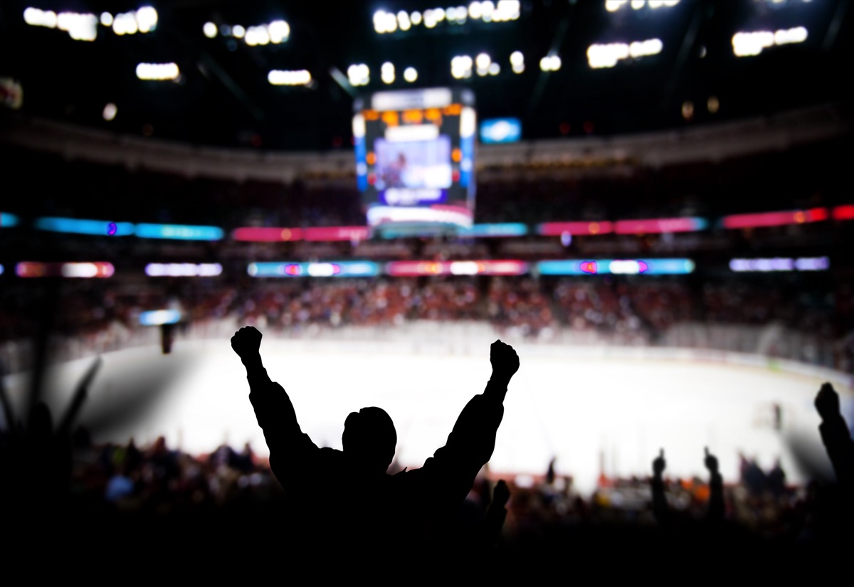 Fans celebrating at a hockey game/winter game