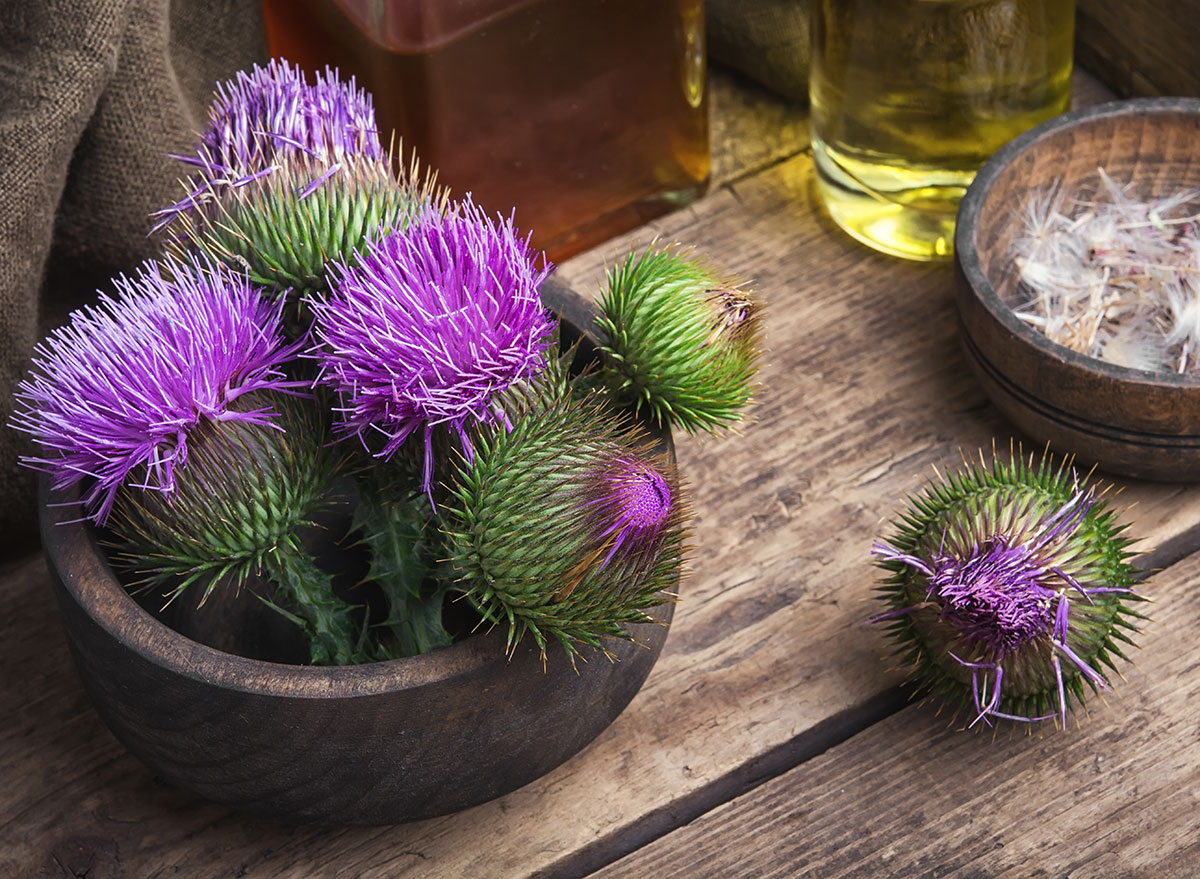 milk thistle