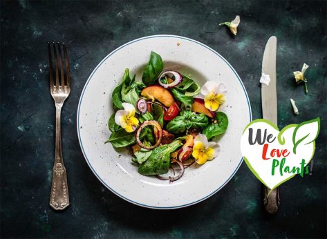 How a Plant-Based Diet Can Protect You From Disease