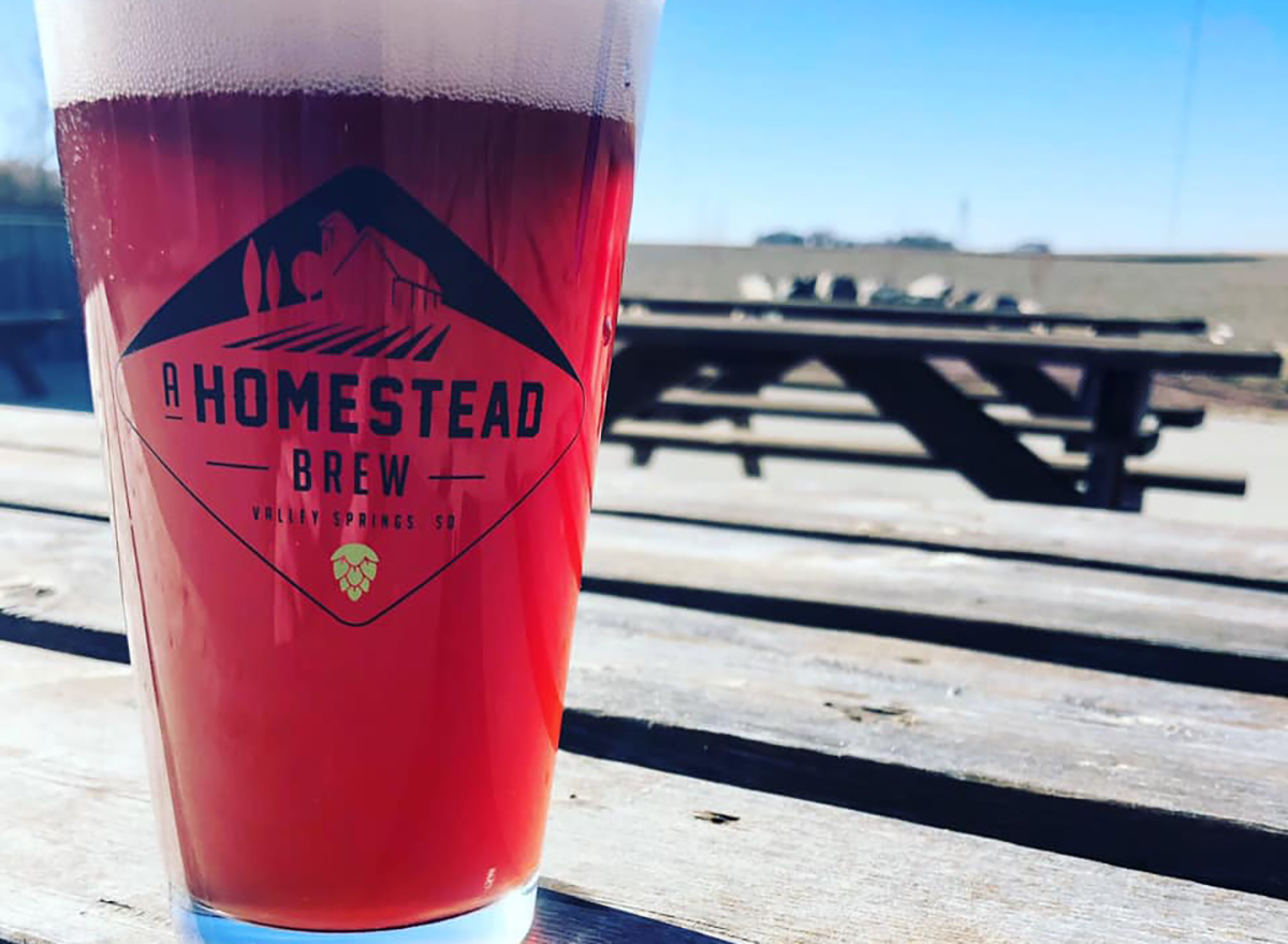 pint of beer on a wooden picnic table