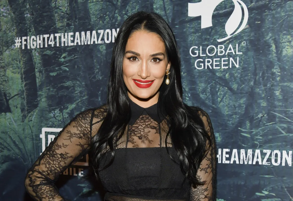 nikki bella in black lace dress