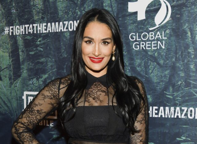 nikki bella in black lace dress