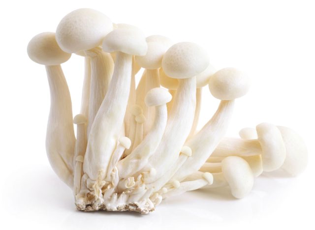 Enoki mushrooms