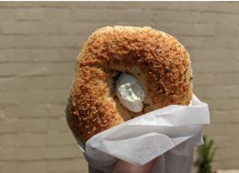 The Best Bagel in Every State
