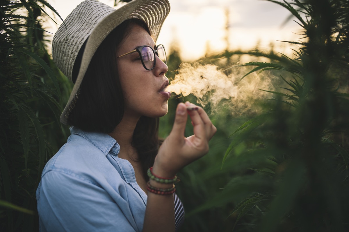 Woman with hat smoking joint in marijuana plantation at sunset.