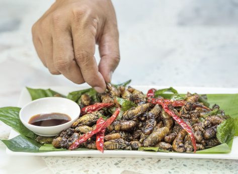 People Are Eating Cicadas and Sharing Their Recipes