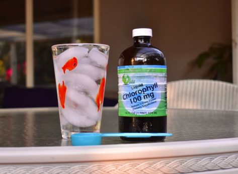 I Drank Chlorophyll Water for 7 Days