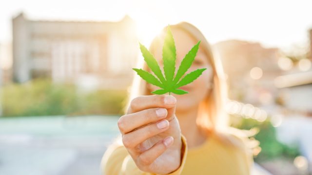 Young girl holding marijuana leaf with sunlight.