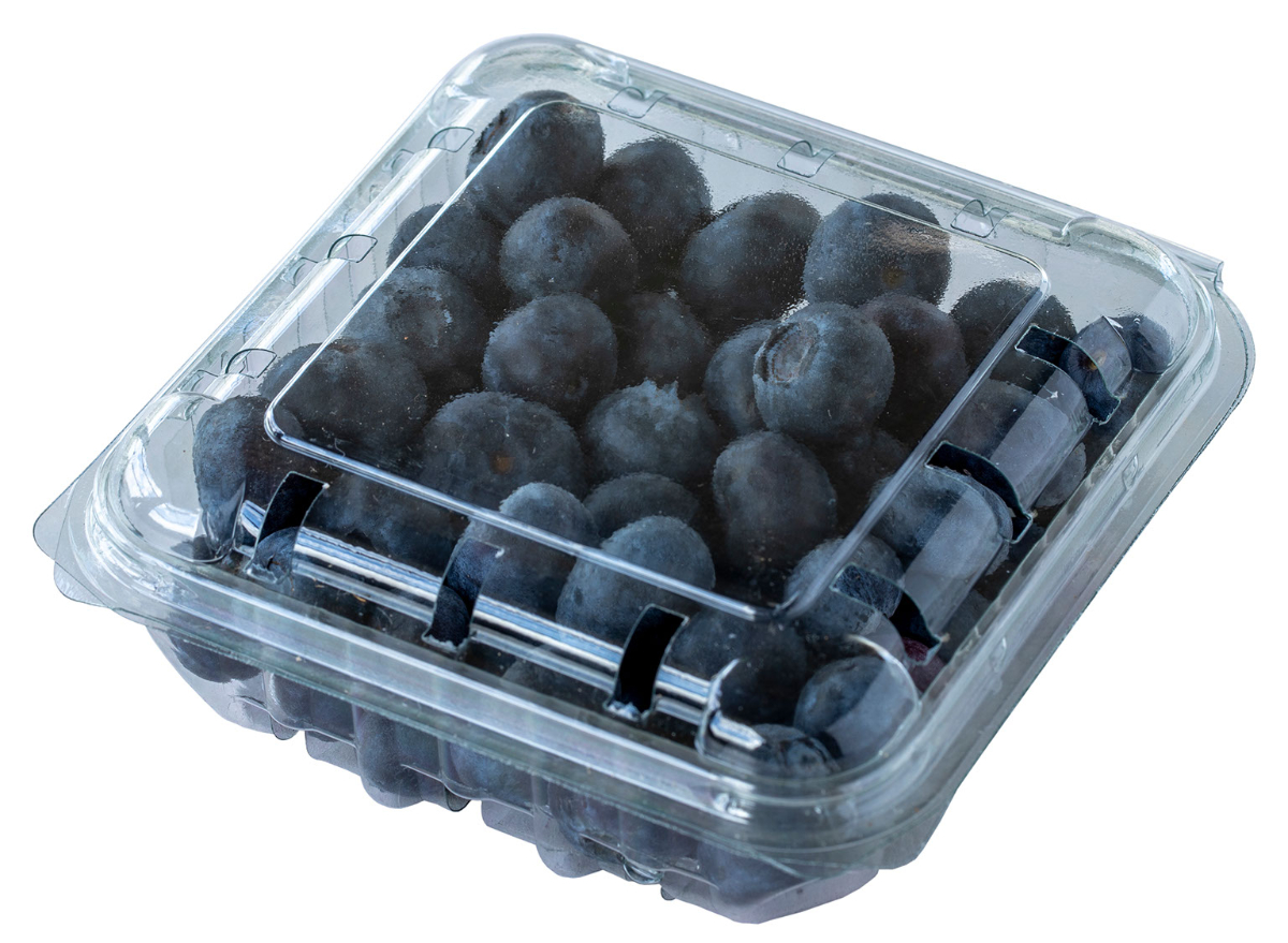 Blueberries