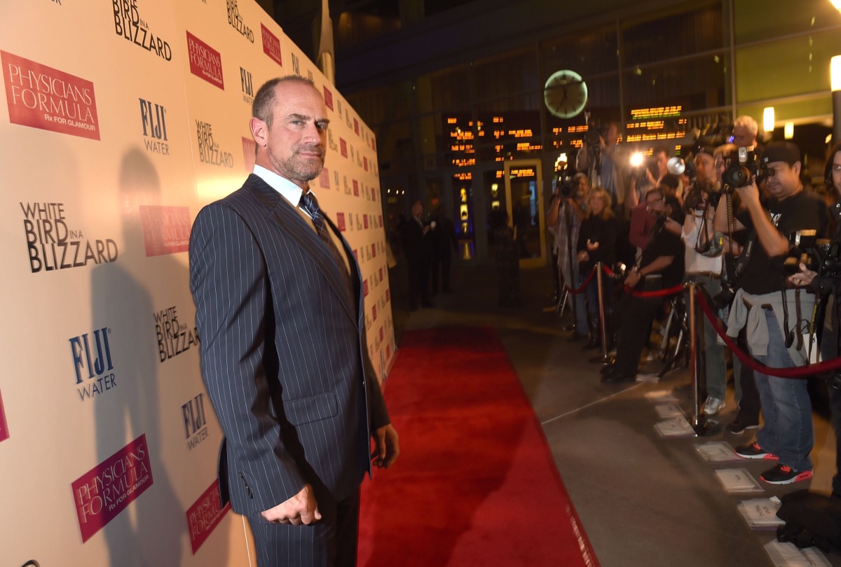christopher meloni in striped suit on red carpet