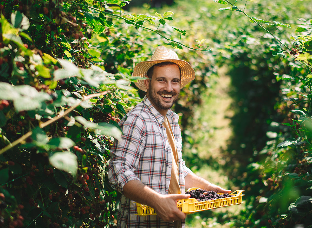 farmer holding berries