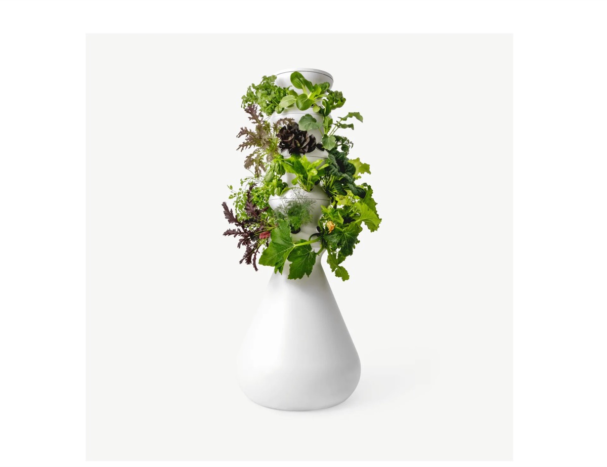 lettuce grow farmstand with leafy vegetables in white pot