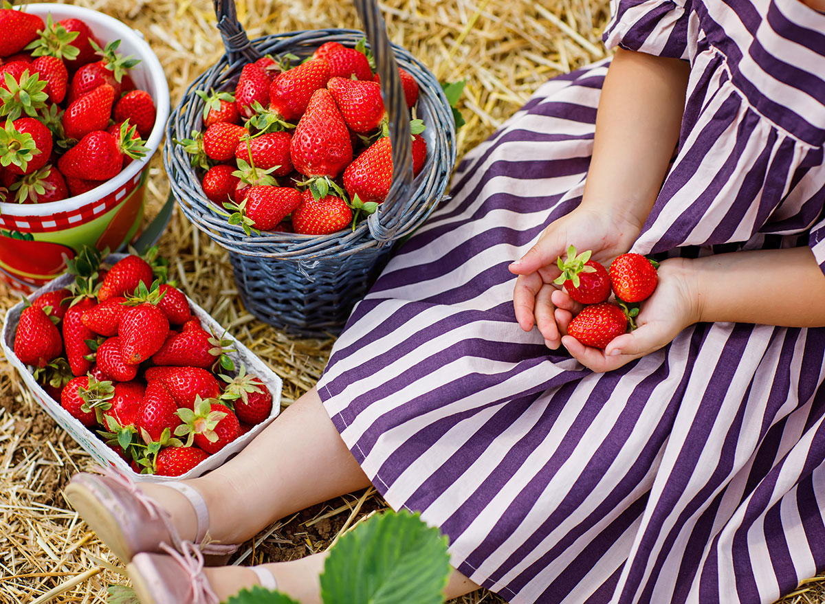 toddler picking strawberries