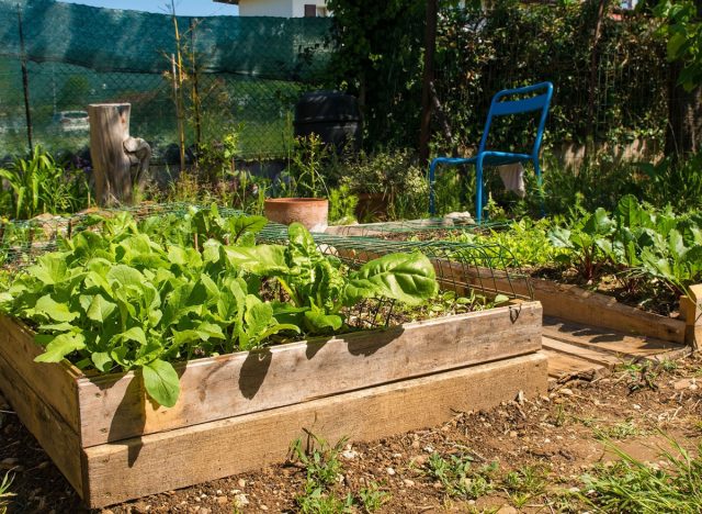 gardening
