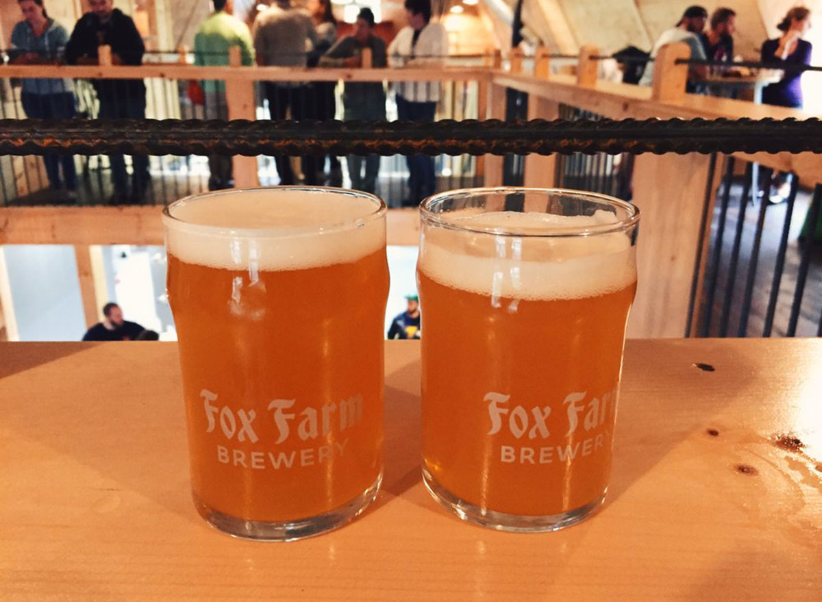 connecticut fox farm brewery