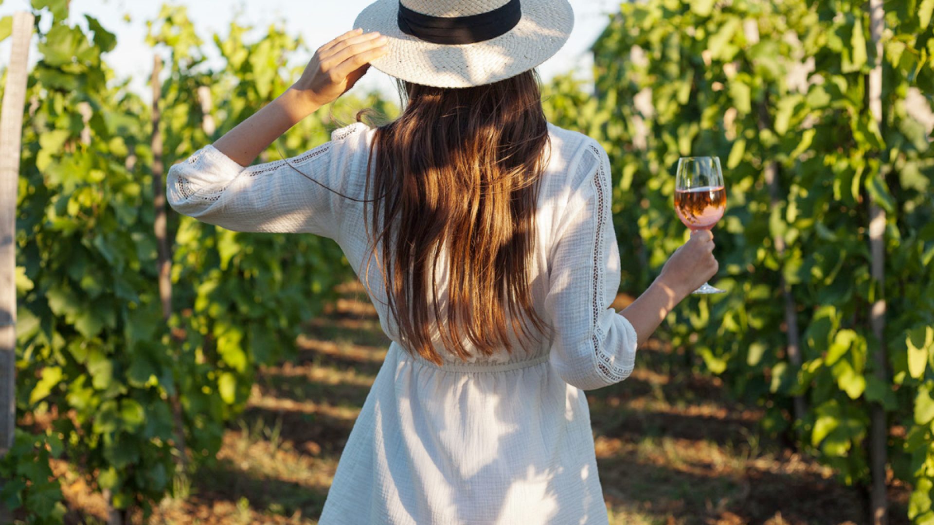 The 5 Best New LowSugar Wines on Shelves Eat This Not That