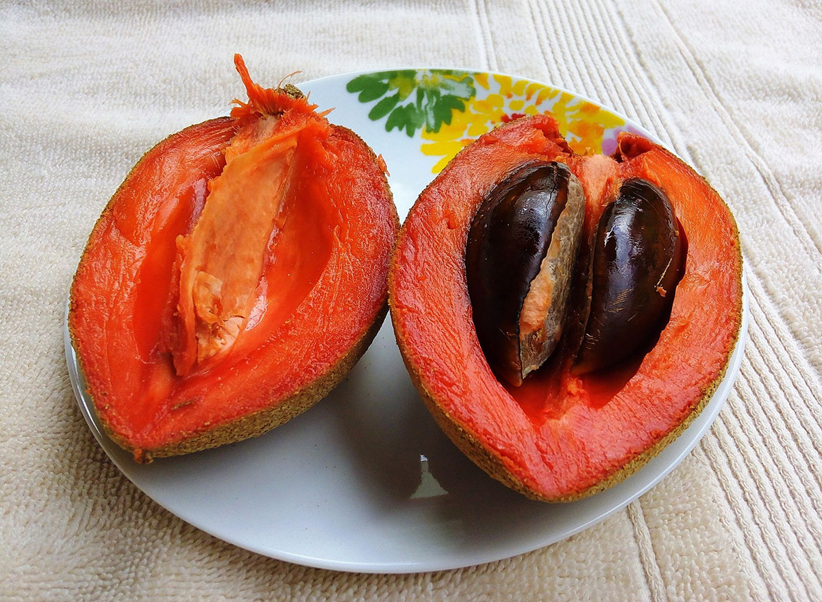 mamey sapote