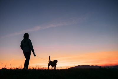 woman-walking-dog-evening-walk-benefits