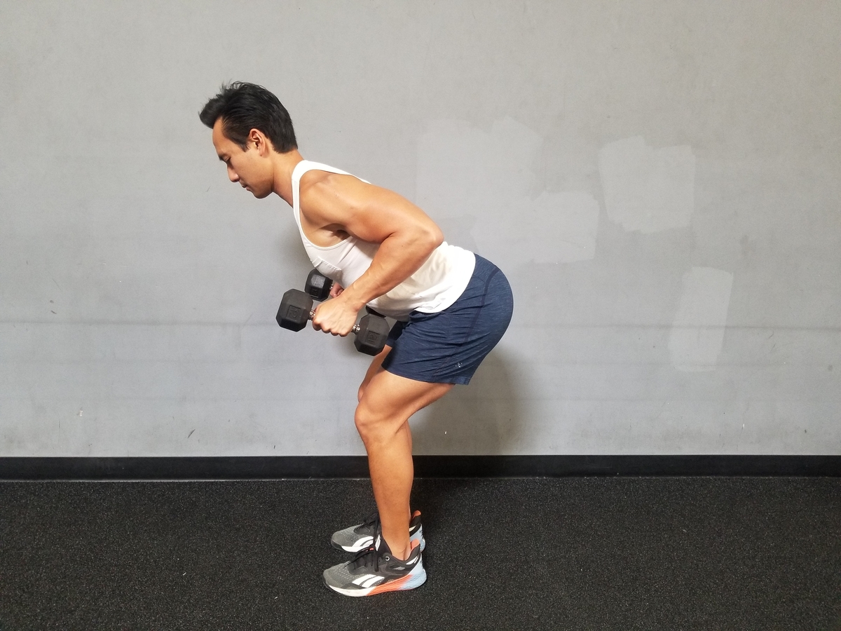 Dumbbell Bent Over Row