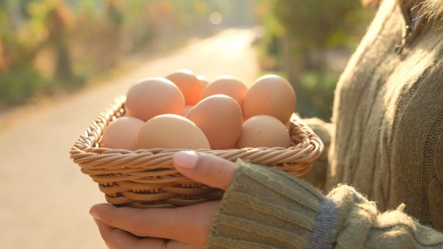 One Major Effect Of Eating Free Range Eggs Says Science Eat This Not That