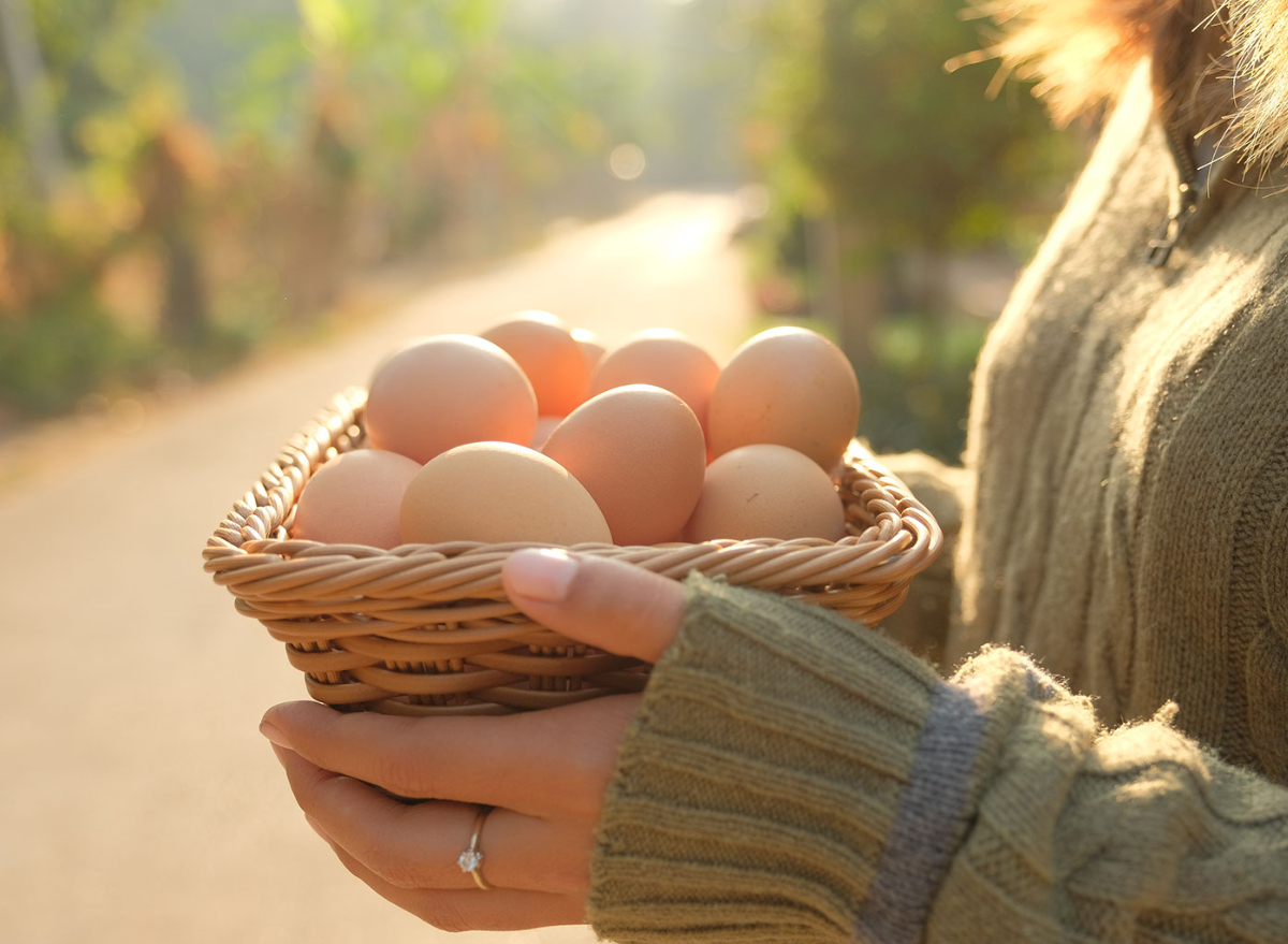 Free range eggs