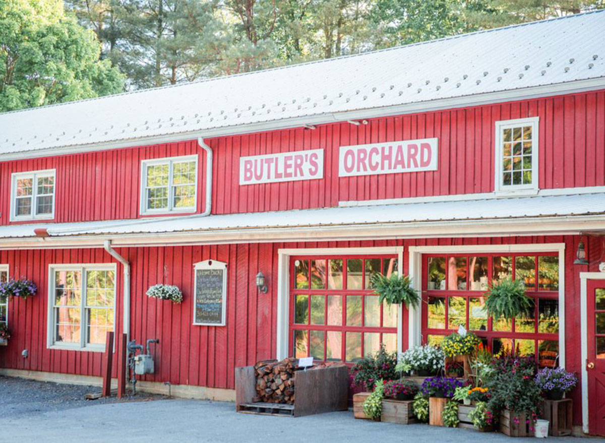 maryland butlers orchard