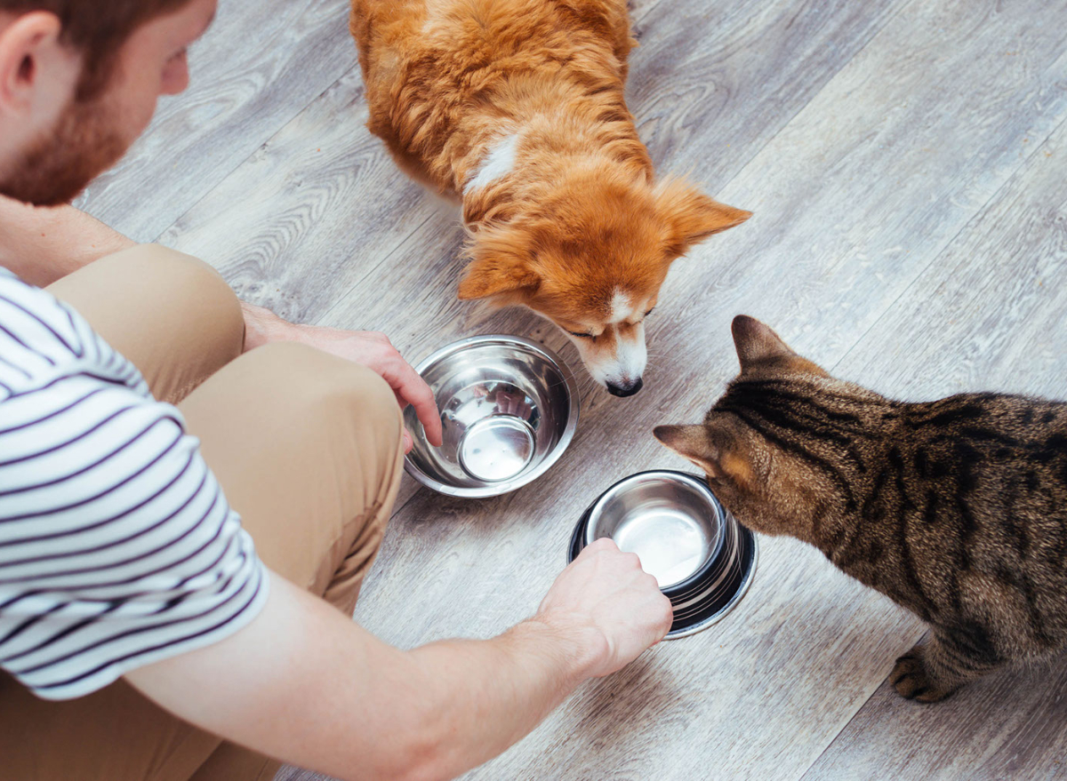 This Pet Food Brand Is Still on Sale After Being Linked with 130 Deaths and  220 Illnesses, FDA Warns — Eat This Not That