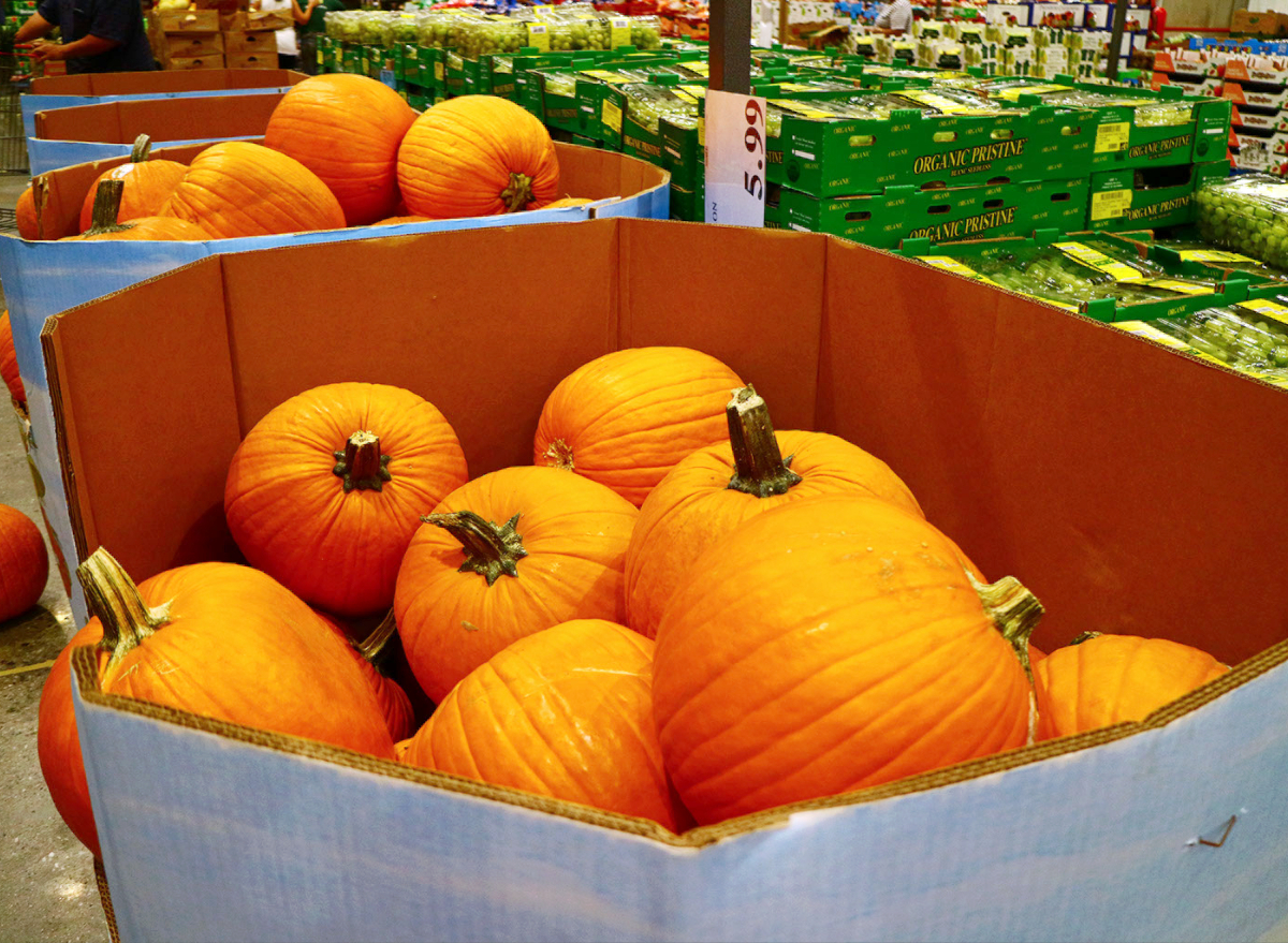 Costco pumpkins