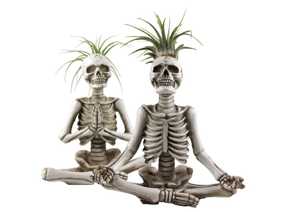 Trader Joe's yoga skeletons