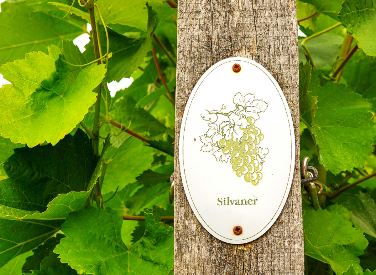 This White Wine Has the Most Antioxidants, New Study Says — Eat This