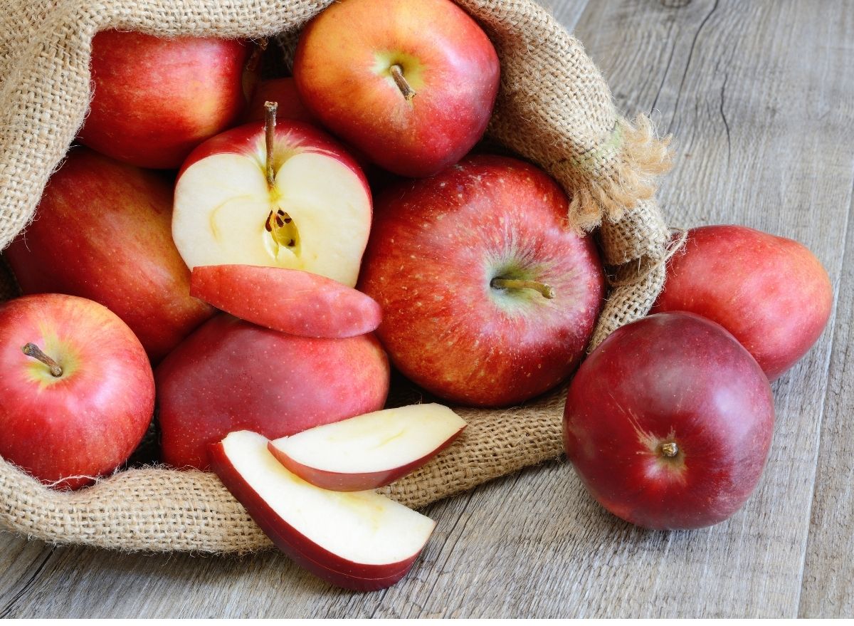 Red Delicious Apples Weren't Always Horrible - New England