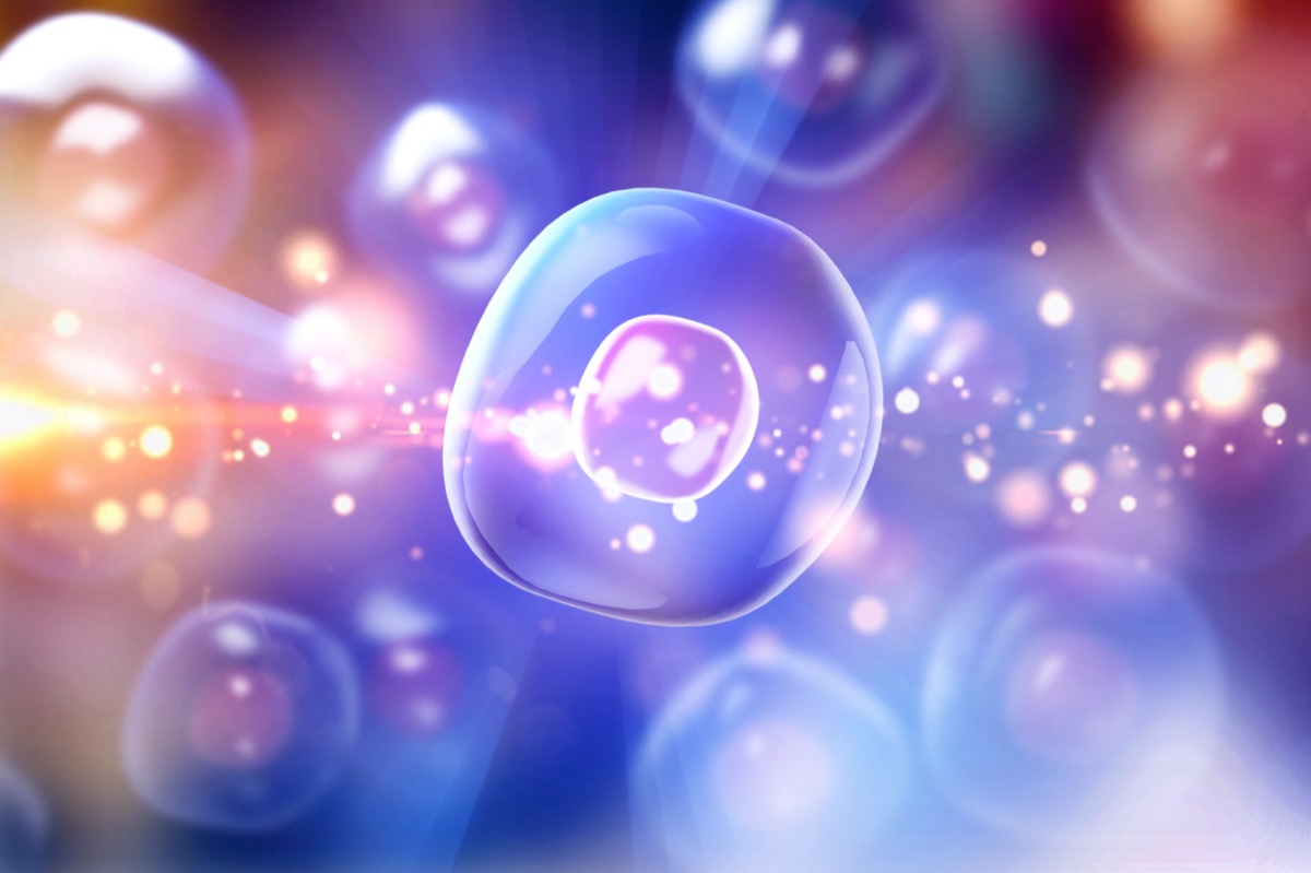 Cells under Human system illustration