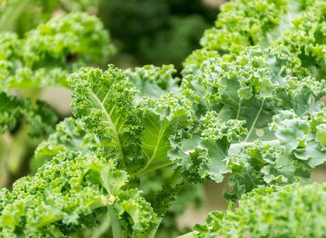 Kroger's Kale and 6 Other Grocery Recalls This Week