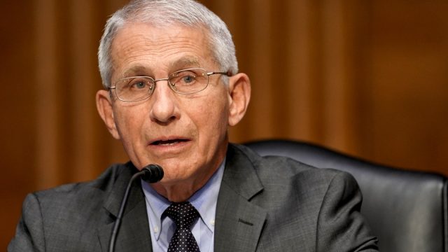 Dr. Anthony Fauci, director of the National Institute of Allergy and Infectious Diseases,
