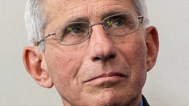 Dr. Anthony Fauci, Director at the National Institute Of Allergy and Infectious Diseases