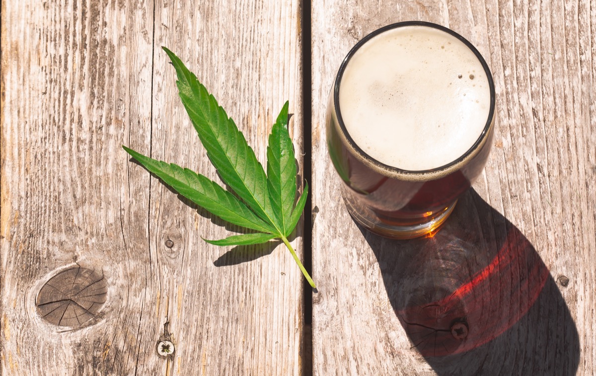 Cannabis beer on a picnic table wood surface.