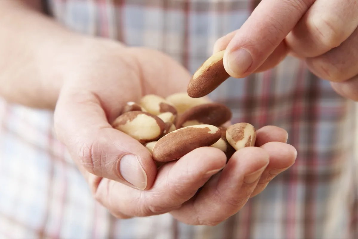 person picking out one brazil nut while holding a handful of brazil nuts in their other hand