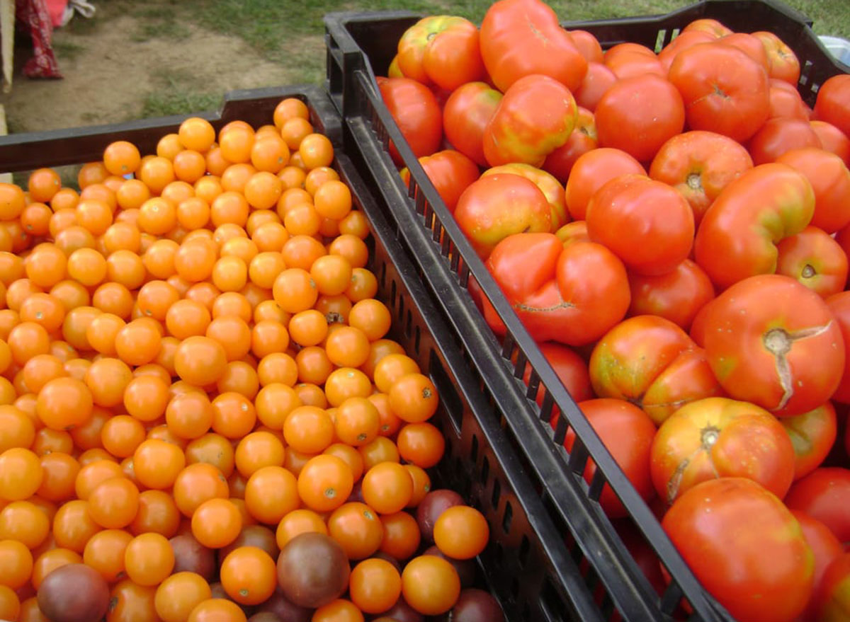 connecticut coventry farmers market