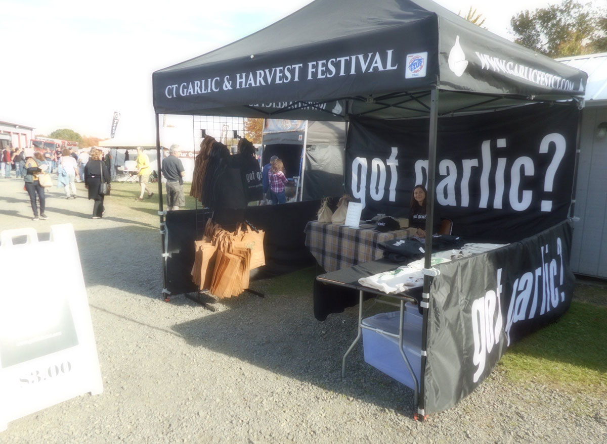 connecticut garlic harvest festival