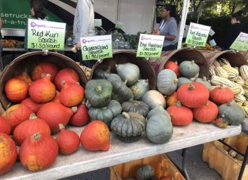 illinois oak park farmers market