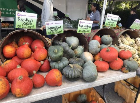 The Best Farmers Market in Every State