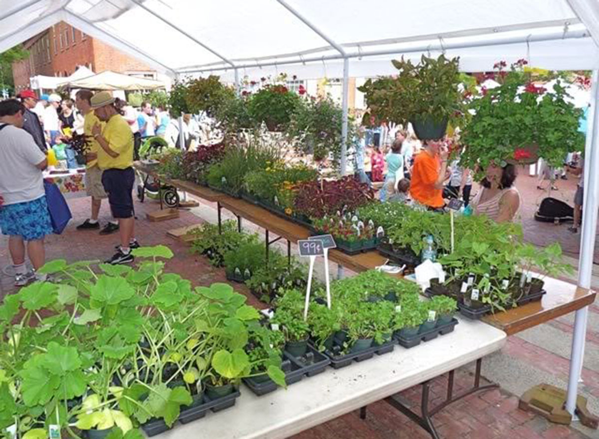 massachusetts salems farmer market