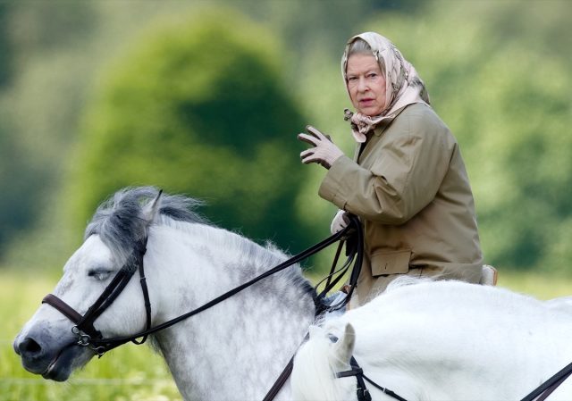 queen elizabeth with her hair in a scarf riding a horse