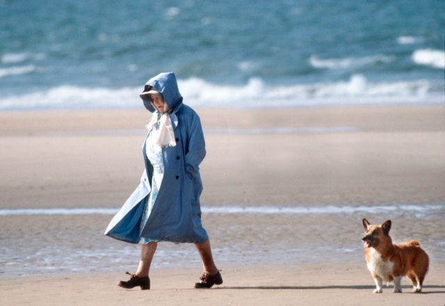 queen elizabeth walking on the beach with her corgi