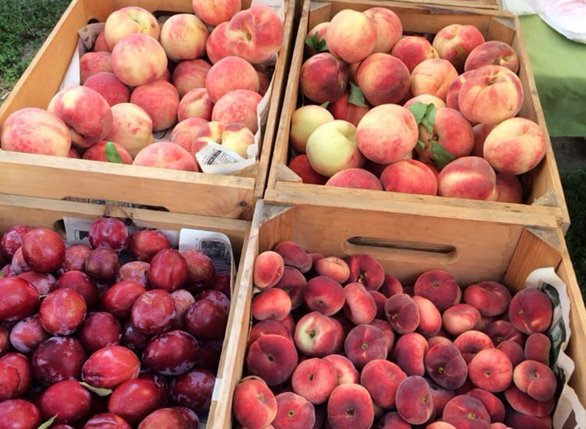 rhode island hope street farmers market