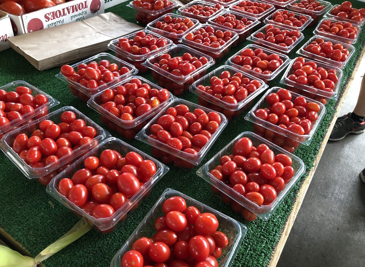 tennessee nashville farmers market